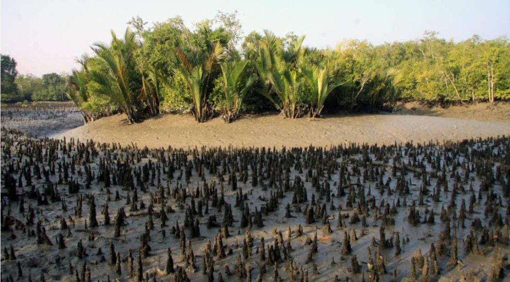 hiron-point-sundarban-bangladesh