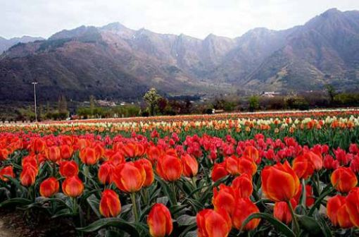 kashmir-6-best-place-to-visit-in-kashmir