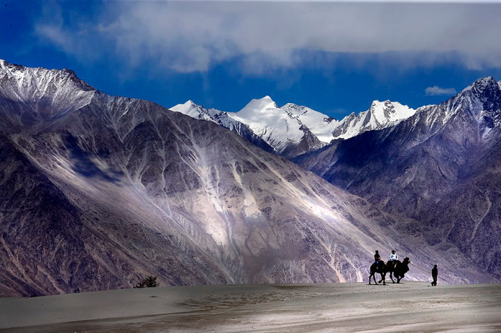 nubra-valleyladakhjammu-kashmirindia