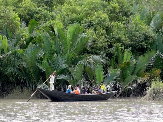 sundarbans